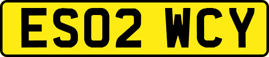 ES02WCY