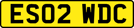 ES02WDC