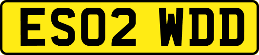 ES02WDD