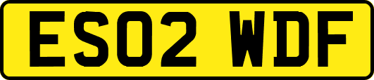 ES02WDF