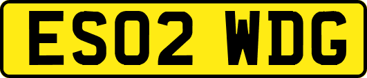 ES02WDG