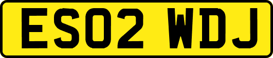 ES02WDJ
