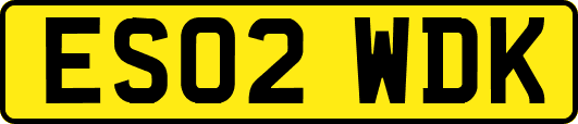 ES02WDK