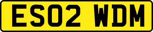 ES02WDM