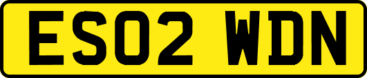 ES02WDN