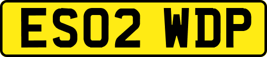ES02WDP