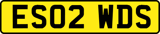 ES02WDS
