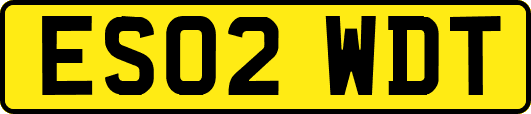 ES02WDT