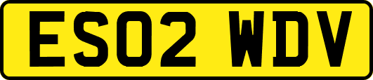 ES02WDV