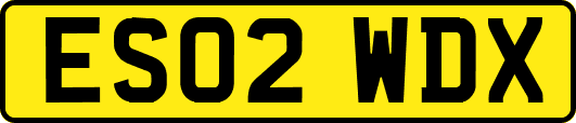 ES02WDX