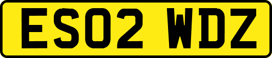 ES02WDZ