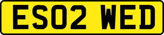 ES02WED