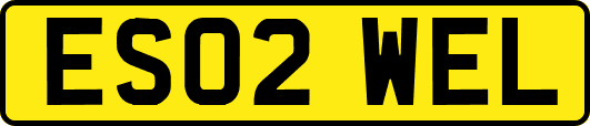 ES02WEL