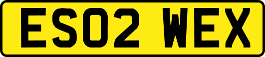 ES02WEX