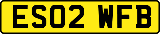ES02WFB