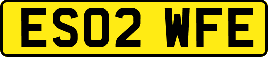 ES02WFE