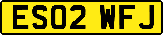 ES02WFJ