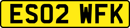 ES02WFK