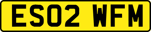 ES02WFM
