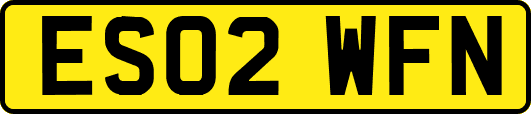ES02WFN
