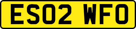 ES02WFO