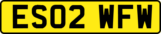ES02WFW