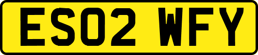 ES02WFY