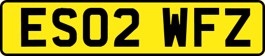 ES02WFZ