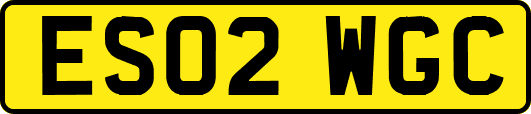 ES02WGC