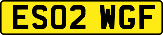 ES02WGF