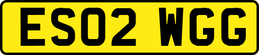 ES02WGG