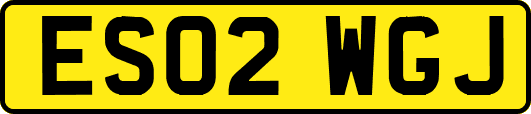 ES02WGJ