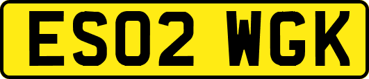 ES02WGK