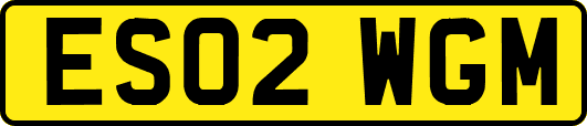 ES02WGM