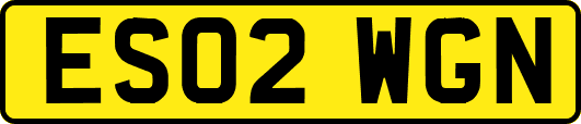 ES02WGN