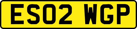 ES02WGP