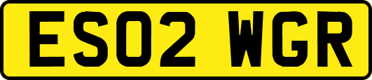 ES02WGR