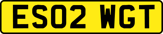 ES02WGT