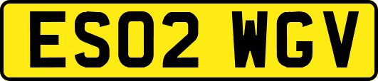 ES02WGV