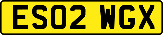ES02WGX