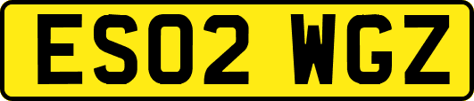 ES02WGZ