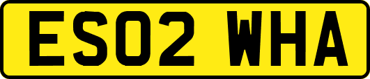 ES02WHA