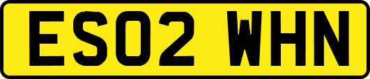 ES02WHN