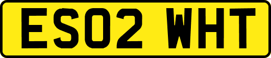 ES02WHT
