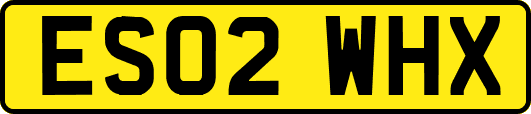 ES02WHX