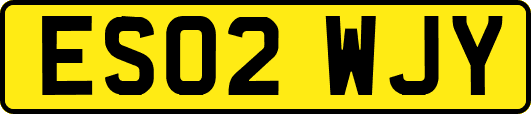 ES02WJY