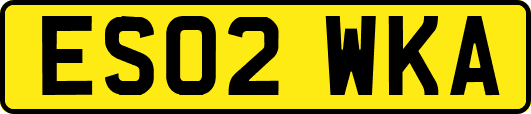 ES02WKA