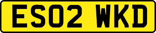 ES02WKD