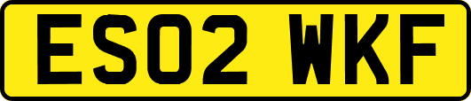 ES02WKF