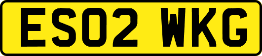 ES02WKG